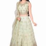 Women's Light Green Embroidered Net Lehenga Choli with Dupatta