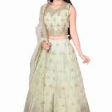 Women's Light Green Embroidered Net Lehenga Choli with Dupatta